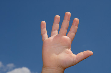 numeri mano 5