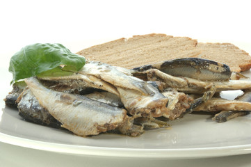 some sprats and bread on a white plate