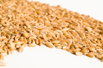 Dinkel