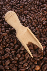 Obraz premium fresh organic coffee beans and a timber shovel