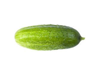Cucumber isolated