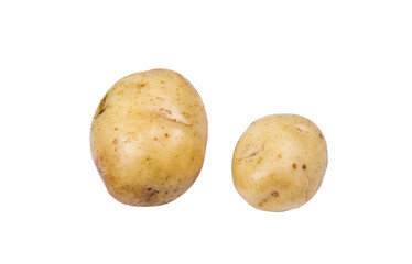 Potato