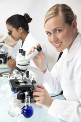 Female Scientific Research Team Using Microscopes in a Laborator