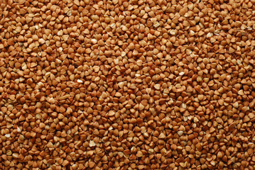 buckwheat background