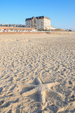 Strand seestern sylt miramar
