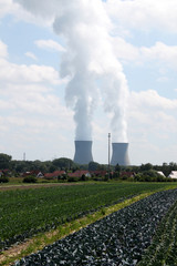 Kernkraftwerk in ländlicher Umgebung © tina7si