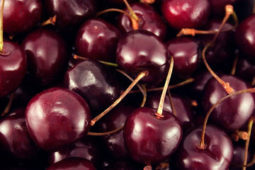 Sweet cherry close-up