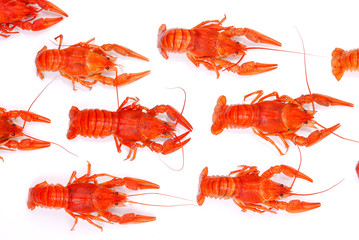 Background from lobsters