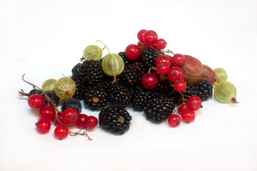 berries on white background