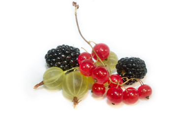 Berries on white background