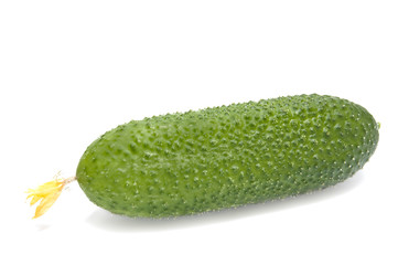 Green cucumber.