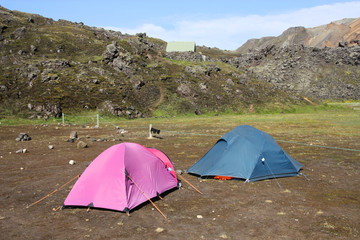 Camping in Iceland