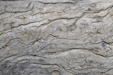 Verwittertes Holz