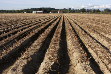 Farm And Field