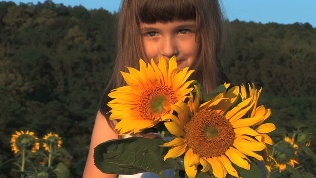 Smell The Sunflowers