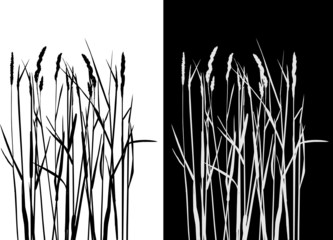 Set of vector grass silhouettes backgrounds for design use - 16269755
