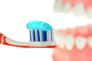 Obraz premium Gebiss 13