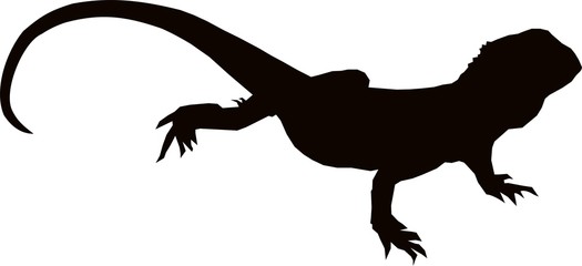 Australian Bearded Lizard Silhouette