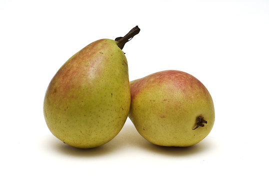 Peritas.