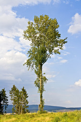 sch&ouml;ner Ausblick