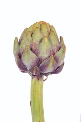 Obraz premium Artischocke