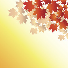 Fall leaves on orange background