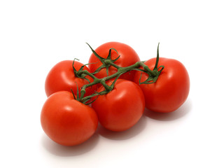 Red Tomatoes