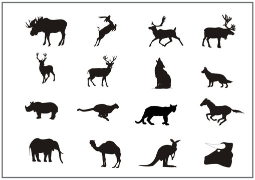 Tiere zwischen Norwegen und Afrika