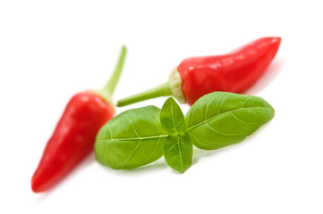 pepper