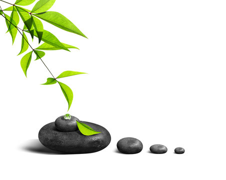 M&eacute;ditation et Bien Etre 211