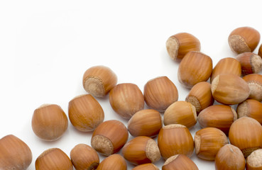 hazel nuts