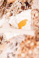 Bread and its components