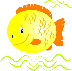 Yellow fish