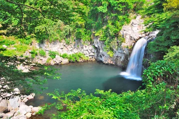 Fototapeten Majestic waterfall © gnohz