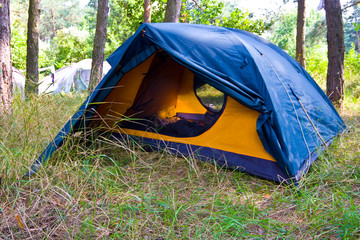 Tourist tent in forest