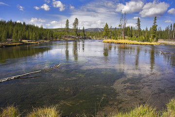 Fototapeta premium The river Gibbons