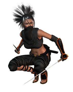 Beautiful Female Ninjas