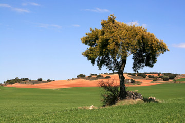 Colores de la Mancha