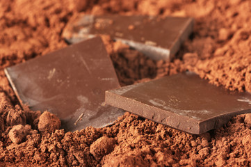 Chocolate and cocoa