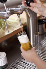 frisch gezapftes bier