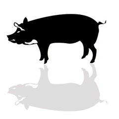 Vector pig silhouette