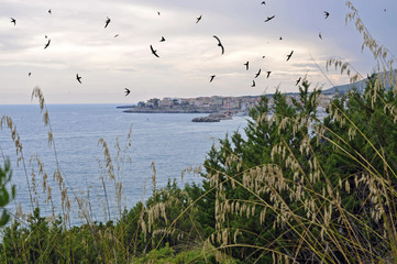 Charming view of Marina di Camerota creek with swallows, Italy