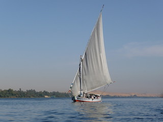 Obraz premium Segelschiff auf dem Nil