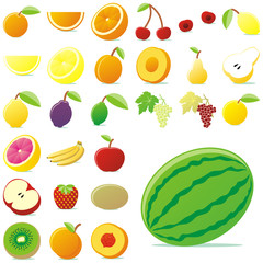 fully editable vector vector fruits with details