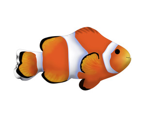 Nemo