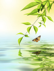 Ambiance Zen © PUNTOSTUDIOFOTO Lda