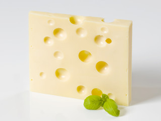 Slice of hard cheese
