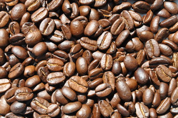 Kaffeebohnen