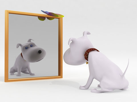 Dog and mirror