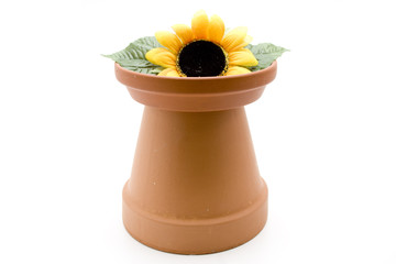 Sonnenblume und Topf